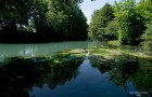 Fiume Ledra (2010)