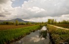 Rio Bosso (2010)
