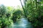 Fiume Ledra (08.2006)