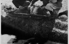 A cros tal Niviset (1930)