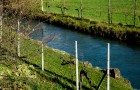 Roggia di San Floreano