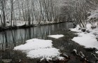 Fiume Ledra (12.2005)