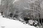 Fiume Ledra (12.2005)