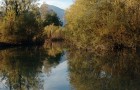Fiume Ledra (10.2007)