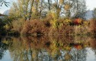 Fiume Ledra (10.2007)