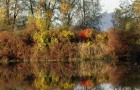 Fiume Ledra (10.2007)