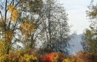 Fiume Ledra (10.2007)