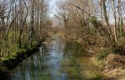 Fiume Ledra (03.2008)