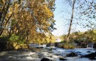 Rosta a San Floreano (10.2010)