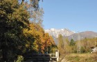 Tessaro19